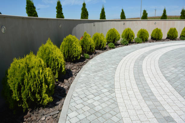 Best Custom Driveway Pavers  in Wixom, MI